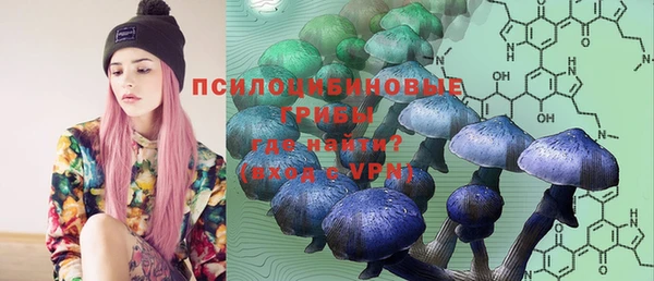 mdpv Мегион