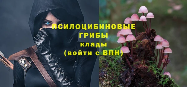 mdpv Мегион